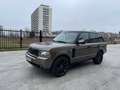 Land Rover Range Rover Range Rover TDV8 Vogue Brown - thumbnail 3