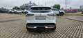 Nissan Qashqai 1.3 MHEV Tekna+ PANO+HUD+BOSE+SHZ Blanc - thumbnail 11