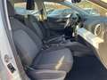 SEAT Ibiza 1.0 TSI *STYLE*PDCHI+VO+KAMERA*DAB*ACC*FUL Blanc - thumbnail 11