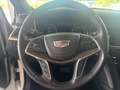 Cadillac XT5 Platinum AWD Weiß - thumbnail 7