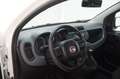 Fiat Panda 1.2 Easy Bianco - thumbnail 10