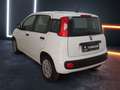 Fiat Panda 1.2 Easy Bianco - thumbnail 4