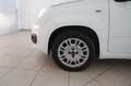 Fiat Panda 1.2 Easy Bianco - thumbnail 13