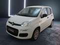 Fiat Panda 1.2 Easy Bianco - thumbnail 3