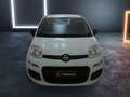 Fiat Panda 1.2 Easy Bianco - thumbnail 2