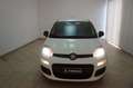 Fiat Panda 1.2 Easy Bianco - thumbnail 15
