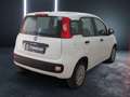 Fiat Panda 1.2 Easy Bianco - thumbnail 6