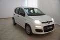 Fiat Panda 1.2 Easy Bianco - thumbnail 14