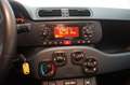 Fiat Panda 1.2 Easy Bianco - thumbnail 12