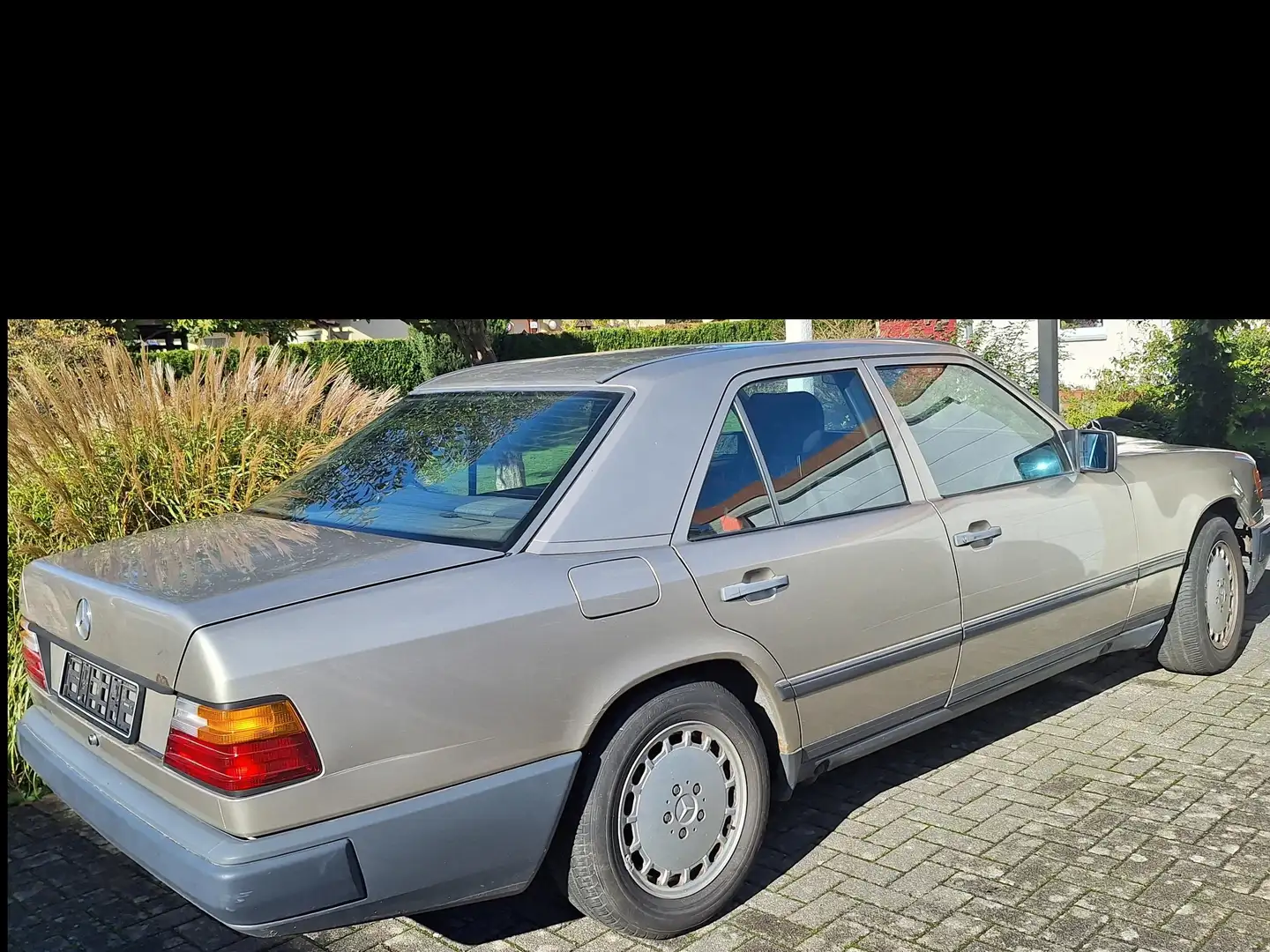 Mercedes-Benz 260 260E W124 Plateado - 2