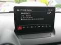 Mazda 2 e-SKYACTIV 115 Homura AKA NAVI/KAMERA/SHZ/WKR Gris - thumbnail 14