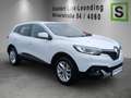 Renault Kadjar KADJAR XMOD TCe Automatik Weiß - thumbnail 4