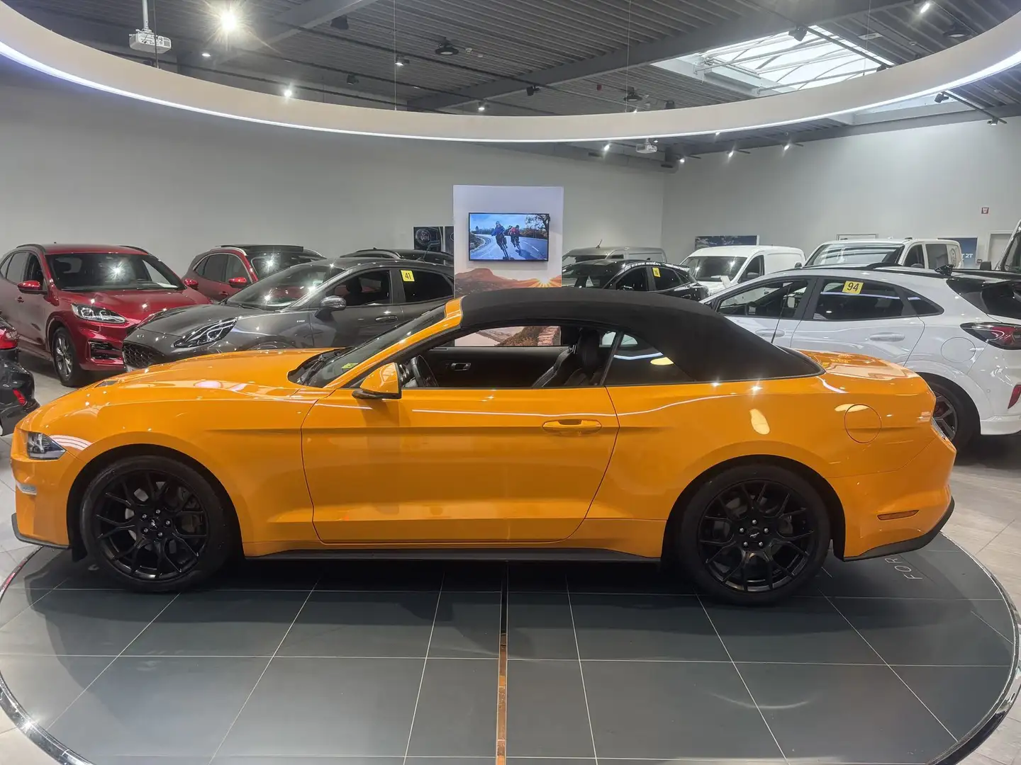 Ford Mustang EcoBoost 2.3 290 PK Automaat Orange - 2