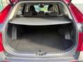 Toyota RAV 4 2.5 Hybrid Dynamic Business Rood - thumbnail 14