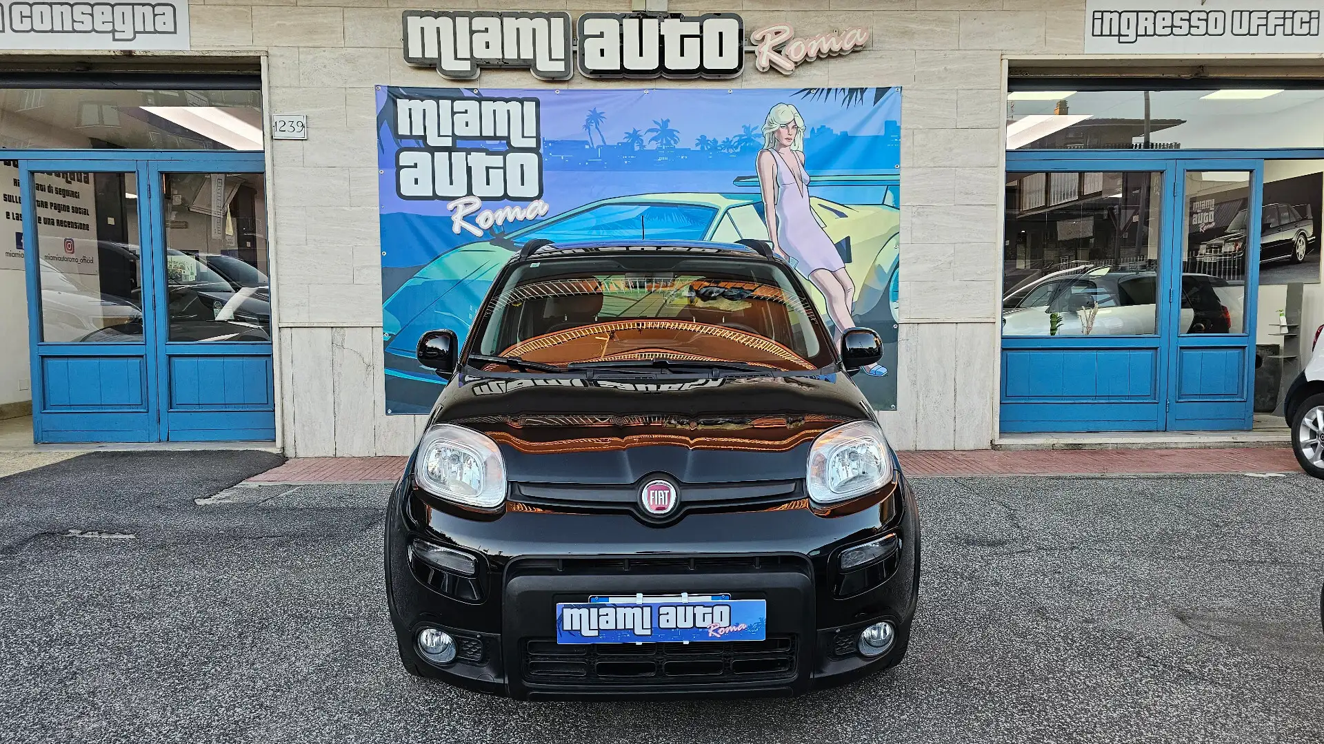 Fiat Panda Panda 1.0 FireFly S&S Hybrid City Cross UNIPRO TAG Nero - 1