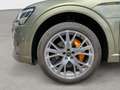 Audi e-tron 55 2x S line quattro 360° B&O Exclusive Grün - thumbnail 14