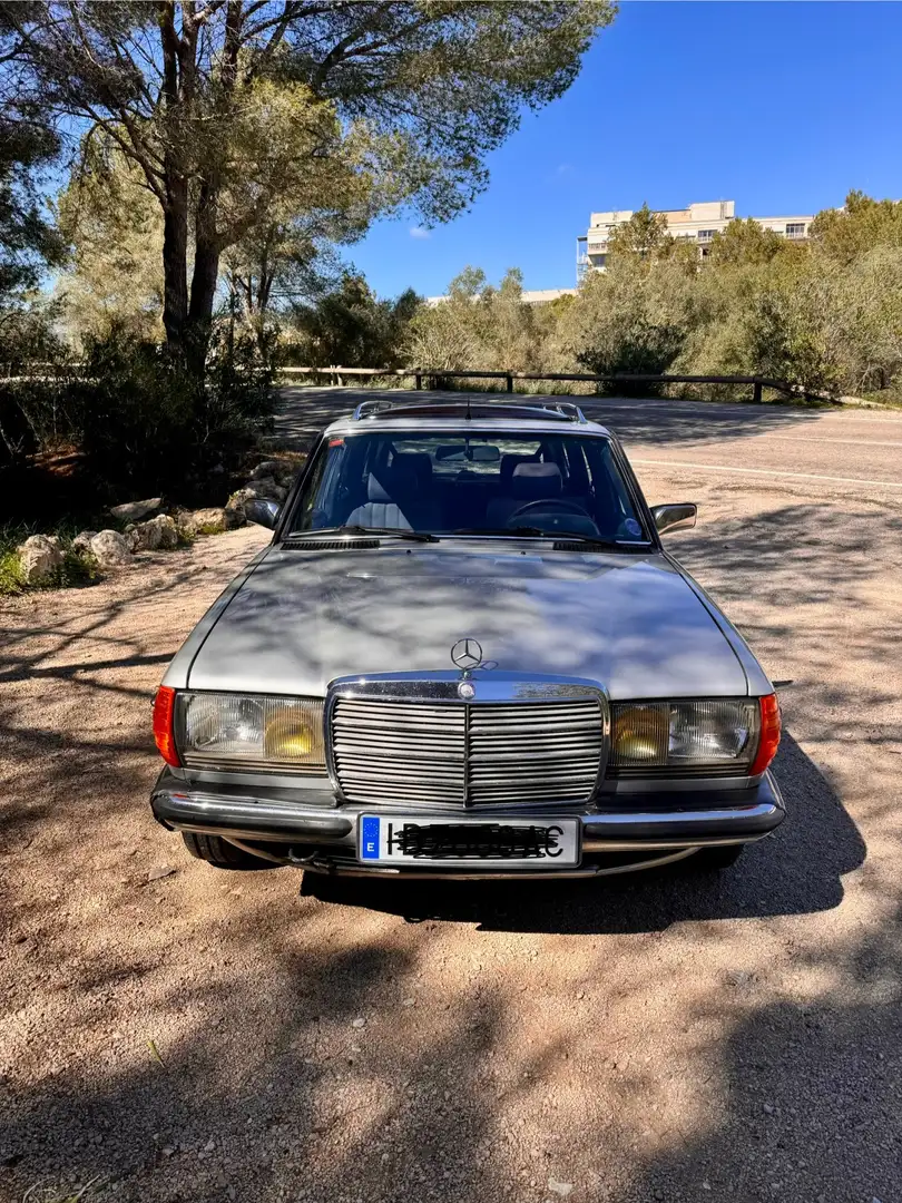 Mercedes-Benz 230 230-TE Gasolina Gris - 2