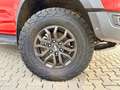 Ford Ranger Raptor e-4WD DOKA 3.0 EcoBoost Rollo Orange - thumbnail 11