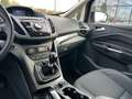Ford C-Max 1.0 Ecoboost 125PK / TITANIUM / Navi / Trekhaak Blauw - thumbnail 8