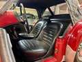Triumph TR3 2.0 L 100 CH - thumbnail 22