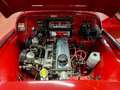 Triumph TR3 2.0 L 100 CH - thumbnail 26