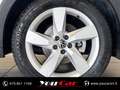 Volkswagen T-Cross 1.0 tsi advanced 110cv dsg Bianco - thumbnail 13