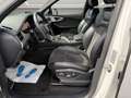 Audi Q7 3.0 TDI quattro*S Line*Leder*Xenon*MMI*ACC Weiß - thumbnail 11