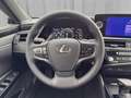 Lexus ES 300 Business Line 218 PS Schwarz - thumbnail 9