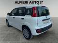 Fiat Panda 1.0 FireFly Hybrid 70cv Pandina - Km0 *Prezzo Rea Bianco - thumbnail 4