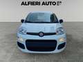 Fiat Panda 1.0 FireFly Hybrid 70cv Pandina - Km0 *Prezzo Rea Bianco - thumbnail 2