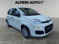 Fiat Panda 1.0 FireFly Hybrid 70cv Pandina - Km0 *Prezzo Rea Bianco - thumbnail 1