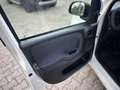 Fiat Panda Panda 1.2 Dynamic Mamy Blanc - thumbnail 9