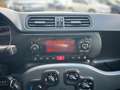 Fiat Panda Panda 1.2 Dynamic Mamy Blanc - thumbnail 10