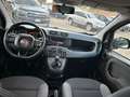 Fiat Panda Panda 1.2 Dynamic Mamy Blanc - thumbnail 13