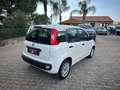 Fiat Panda Panda 1.2 Dynamic Mamy Blanc - thumbnail 5