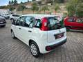 Fiat Panda Panda 1.2 Dynamic Mamy Blanc - thumbnail 6