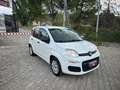 Fiat Panda Panda 1.2 Dynamic Mamy Blanc - thumbnail 2