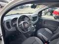 Fiat Panda Panda 1.2 Dynamic Mamy Blanc - thumbnail 15