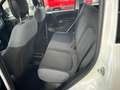 Fiat Panda Panda 1.2 Dynamic Mamy Blanc - thumbnail 7