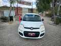 Fiat Panda Panda 1.2 Dynamic Mamy Blanc - thumbnail 3