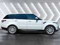 Land Rover Range Rover Sport 3.0SDV6 HSE 306 Aut. Blanco - thumbnail 4