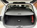 Ford Focus Wagon 1.0 EcoBoost ACTIVE X / AUTOMAAT / CRUISE / Blanc - thumbnail 17