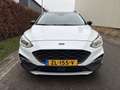 Ford Focus Wagon 1.0 EcoBoost ACTIVE X / AUTOMAAT / CRUISE / Blanc - thumbnail 23