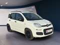 Fiat Panda Easy Automatik Weiß - thumbnail 7