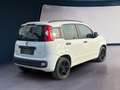 Fiat Panda Easy Automatik Weiß - thumbnail 5