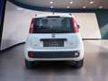 Fiat Panda Easy Automatik Weiß - thumbnail 4