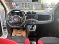 Fiat Panda Easy Automatik Weiß - thumbnail 11