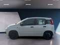 Fiat Panda Easy Automatik Weiß - thumbnail 2