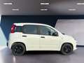 Fiat Panda Easy Automatik Weiß - thumbnail 6