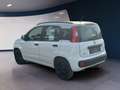 Fiat Panda Easy Automatik Weiß - thumbnail 3